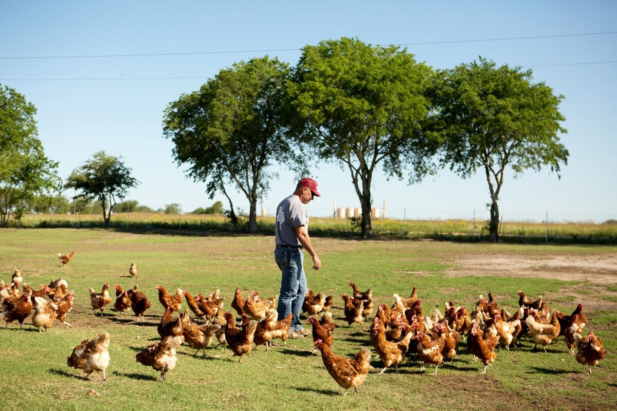 US Farmers to Get First Tranche of $30 Billion to Fight Downturn