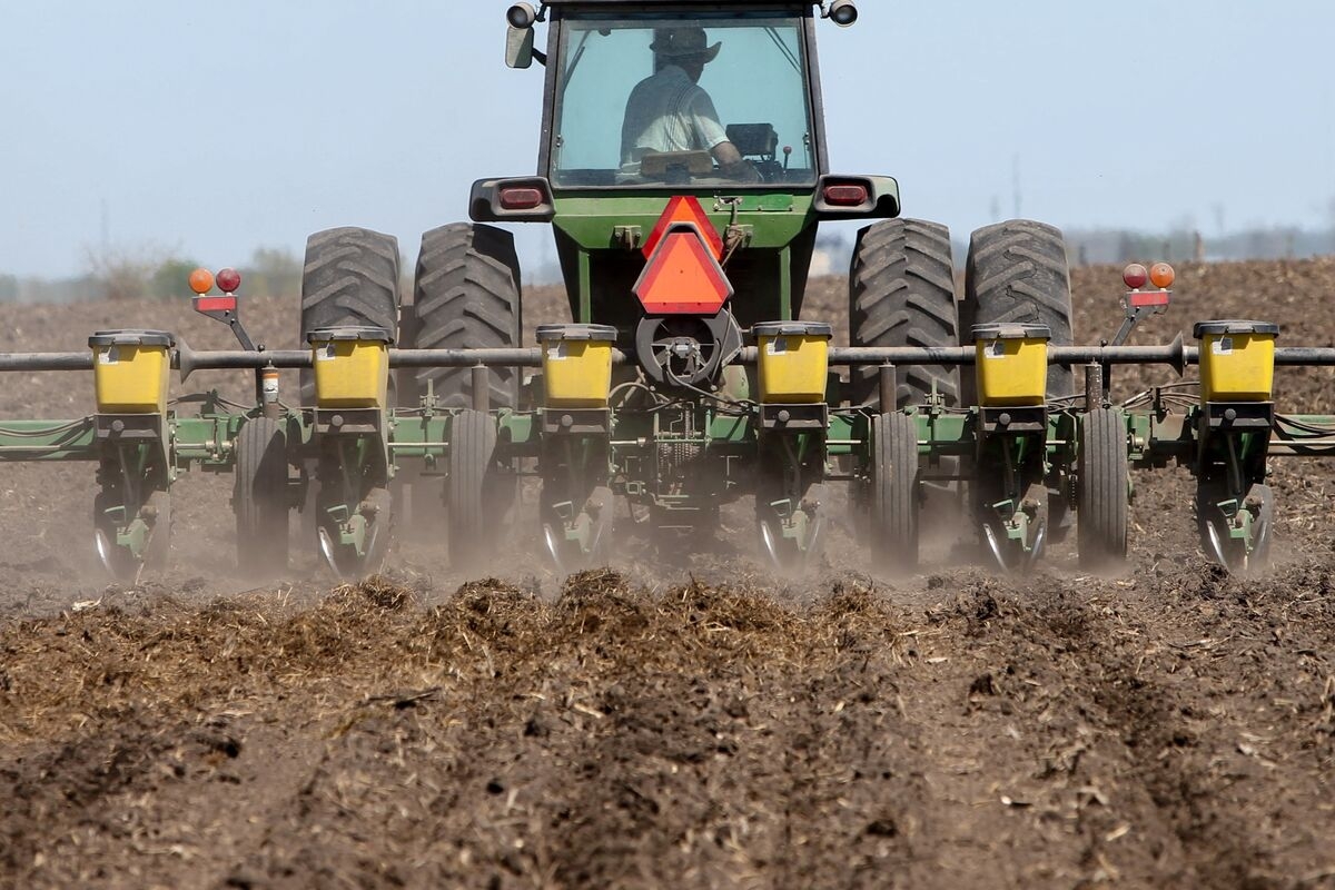 US Farm Sentiment at 4-Year High as Trump Pushes for Trade Deals