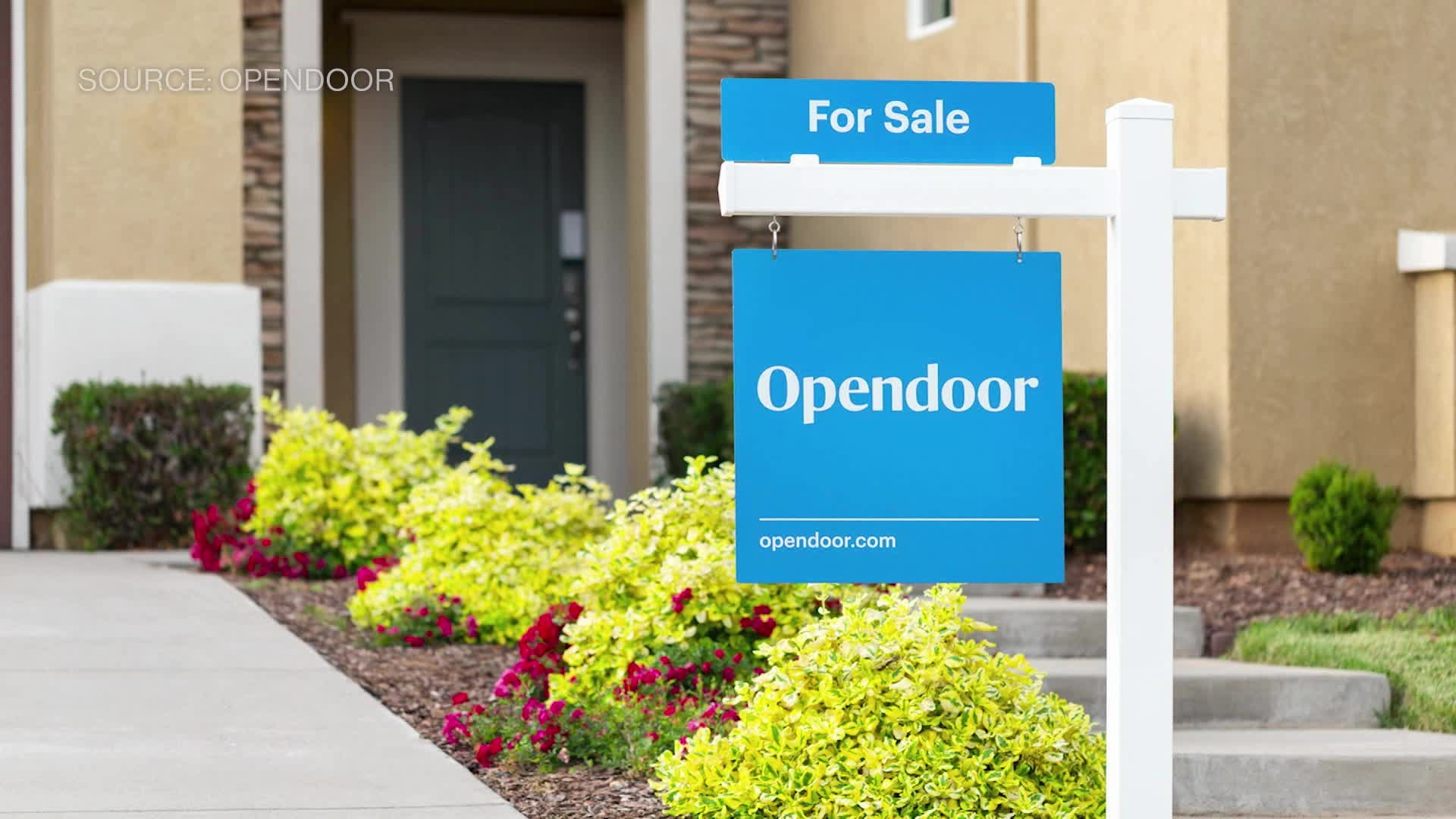 Opendoor Shareholder Eric Jackson Says CEO "Has to Go"