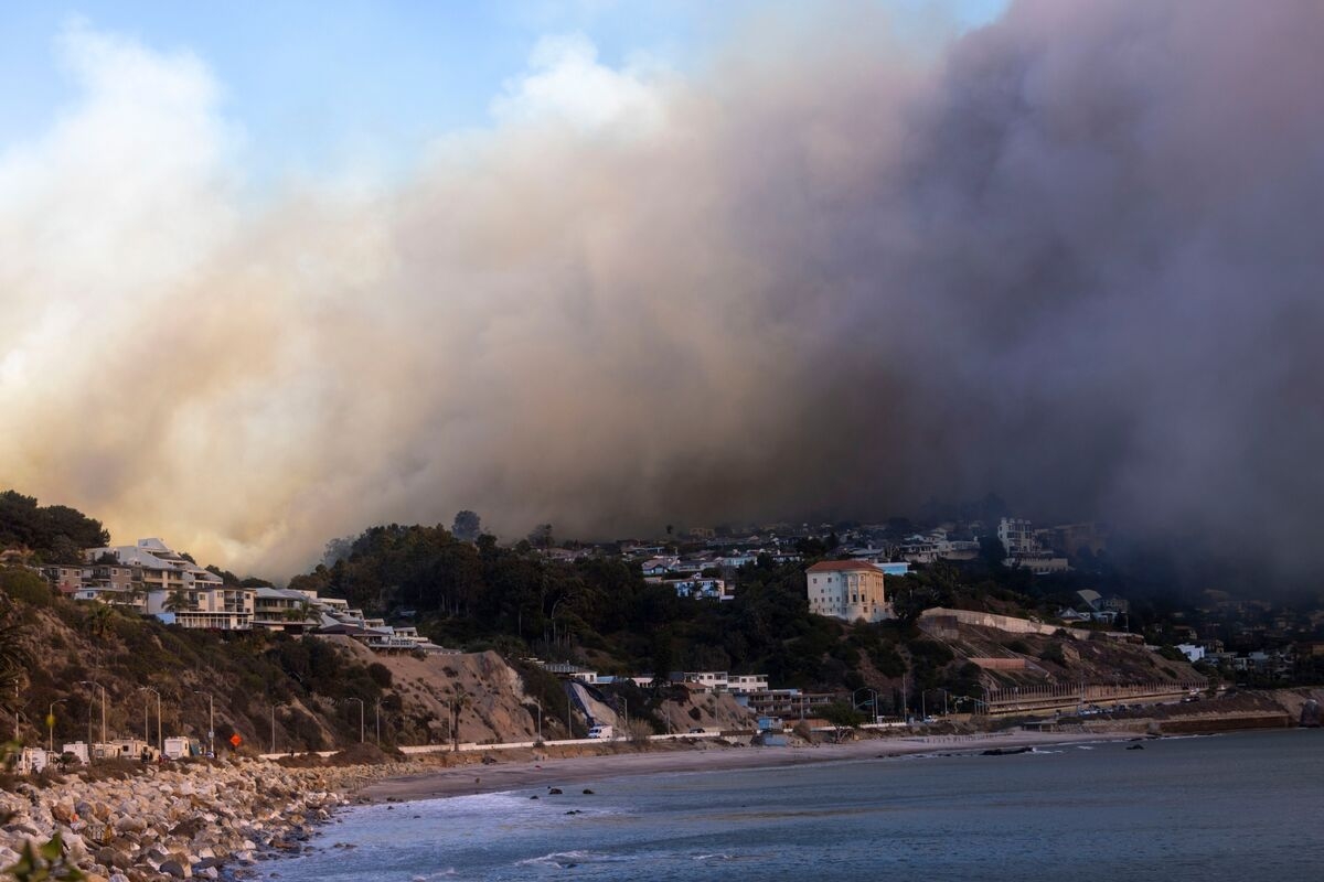 Scientists Race to Gauge Los Angeles Fires' Impact on Ocean Life