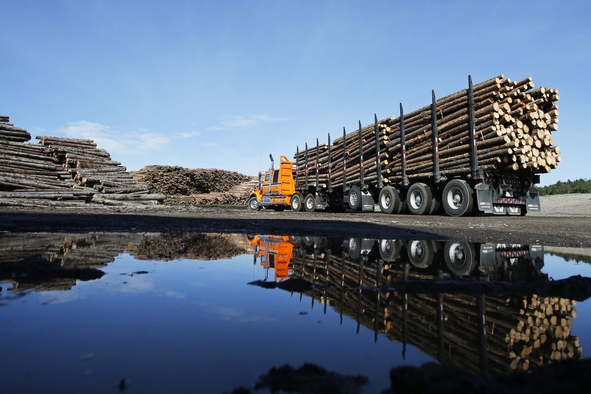 Lumber Producer Remabec Cuts 1,000 Jobs in Quebec, Citing Tariffs