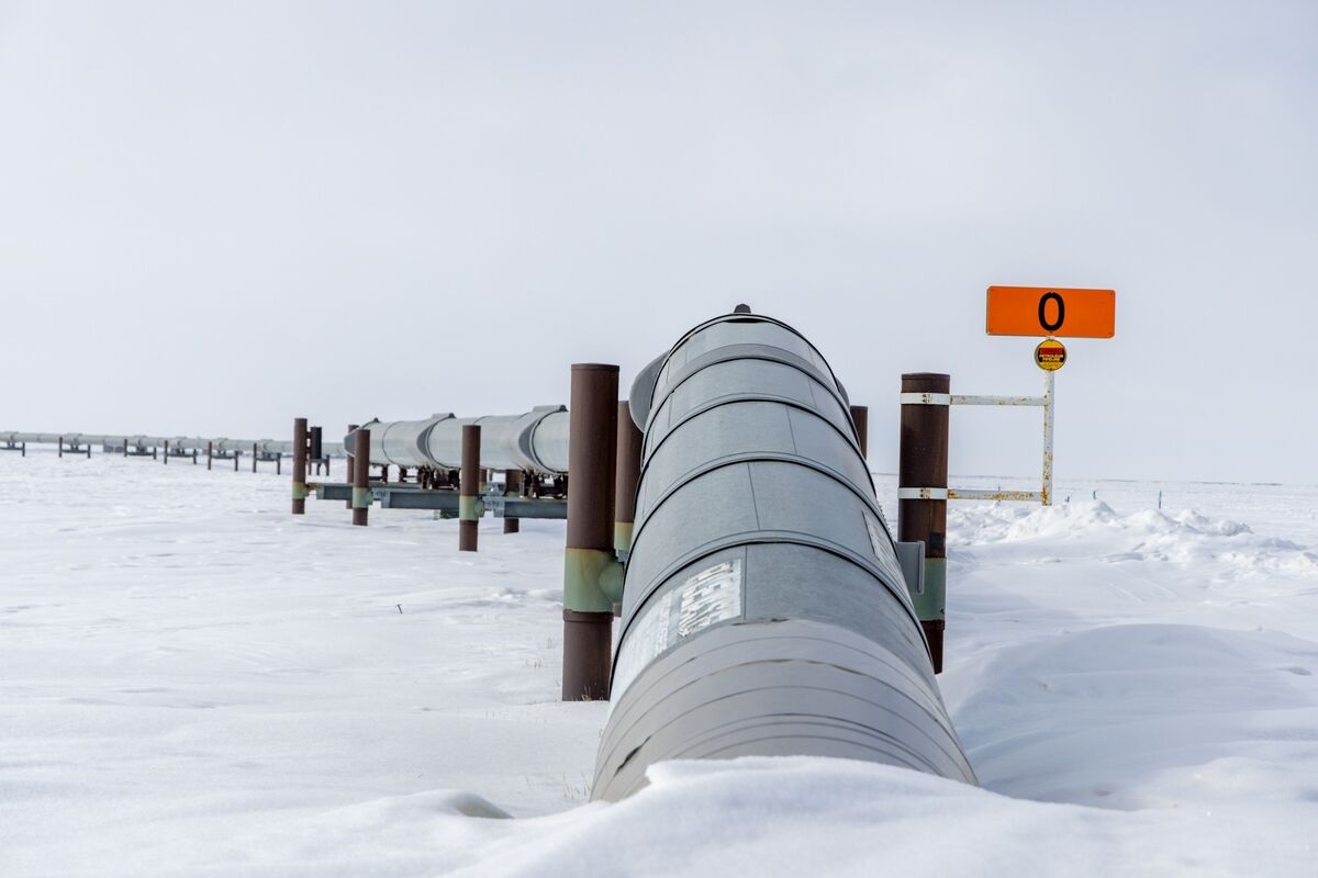 Trump Moves to Lift Biden-Era Curbs on Arctic Oil Drilling