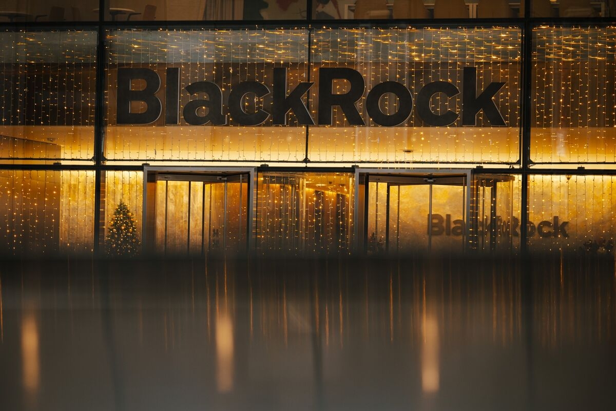 BlackRock to Eliminate About 300 Jobs in Second Cut This Year