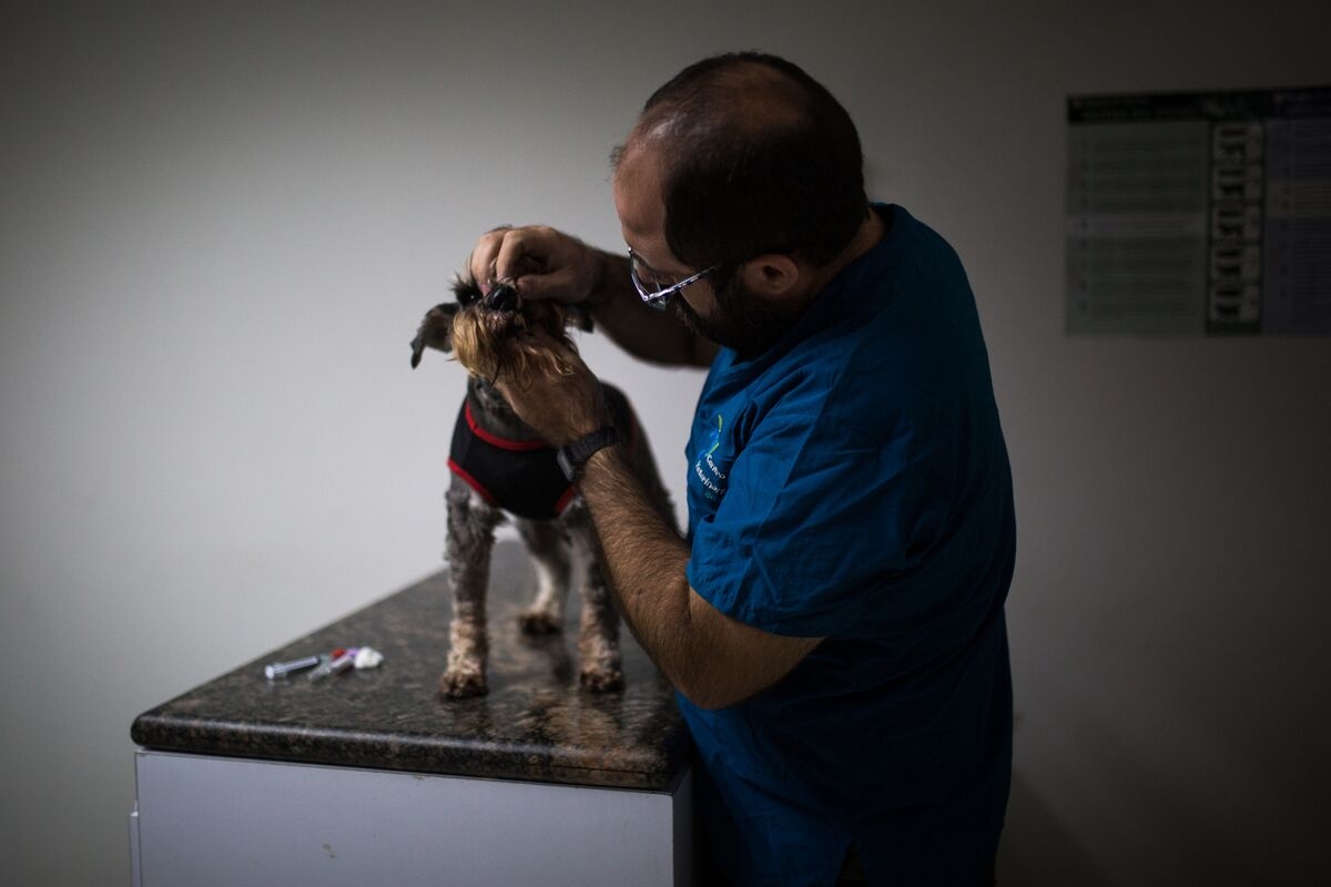 Ceva Santé Animale Nears Fundraising at €9 Billion Value