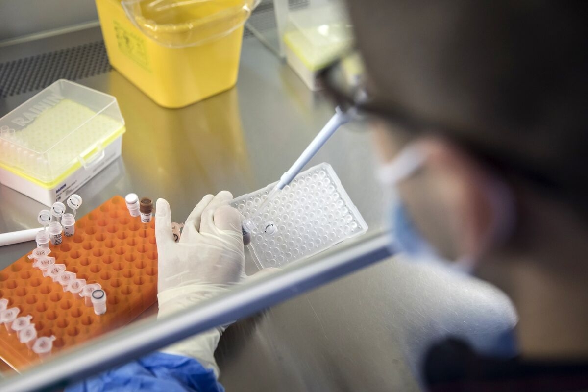 Shares in Australian Biotech PolyNovo Slump as CEO Asked to Quit