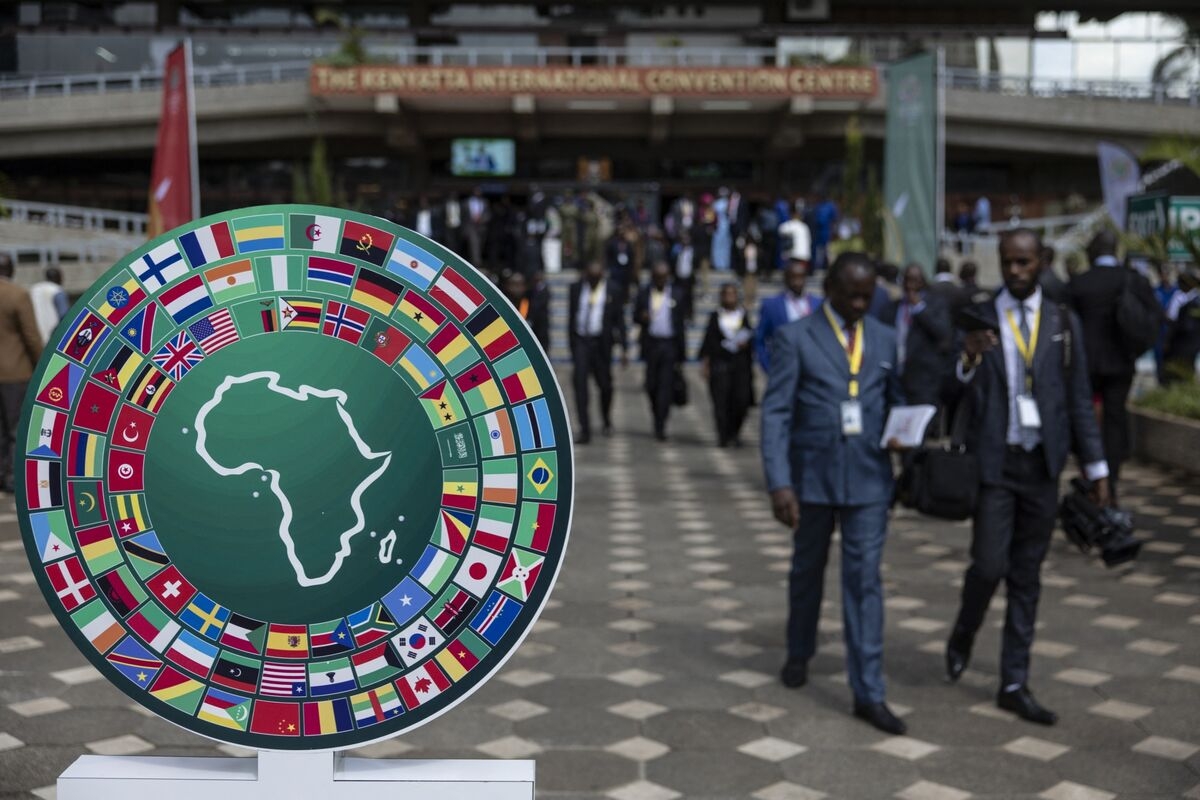 New Head at Top African Development Bank Faces Funding Squeeze