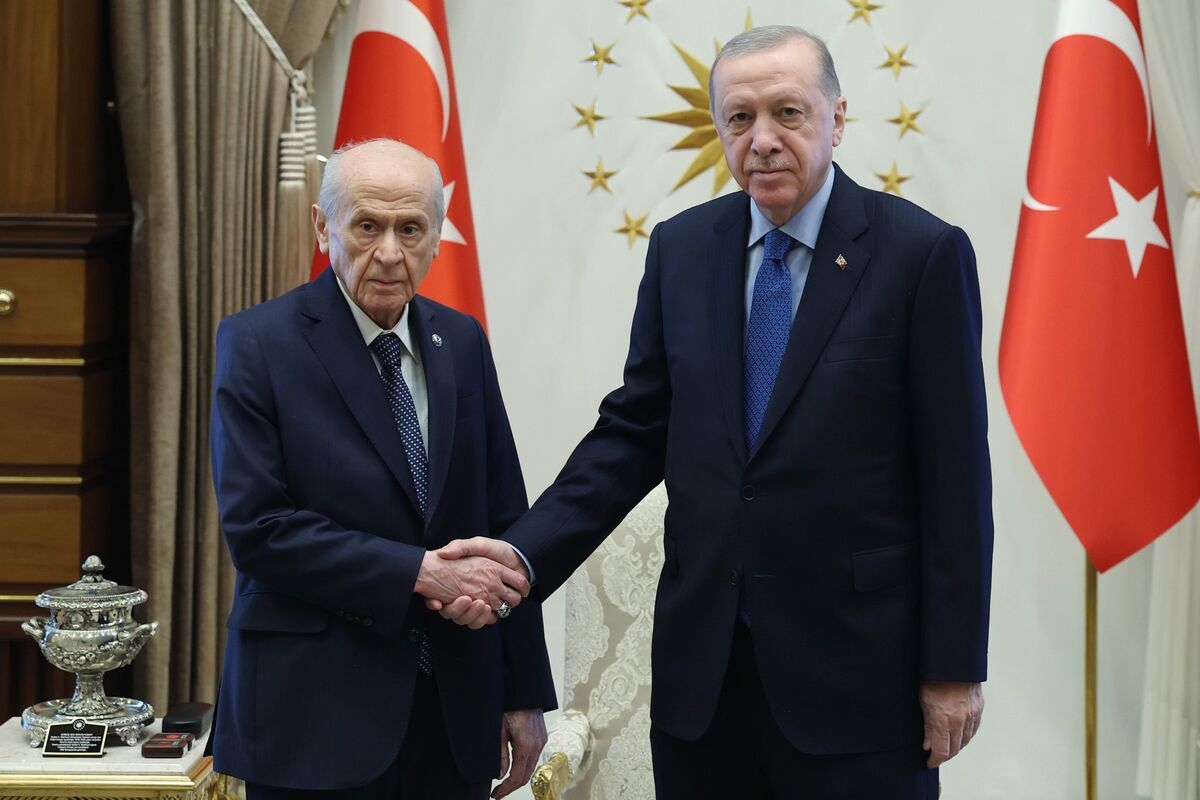 Erdogan's Key Ally Proposes Vice Presidency for Minorities