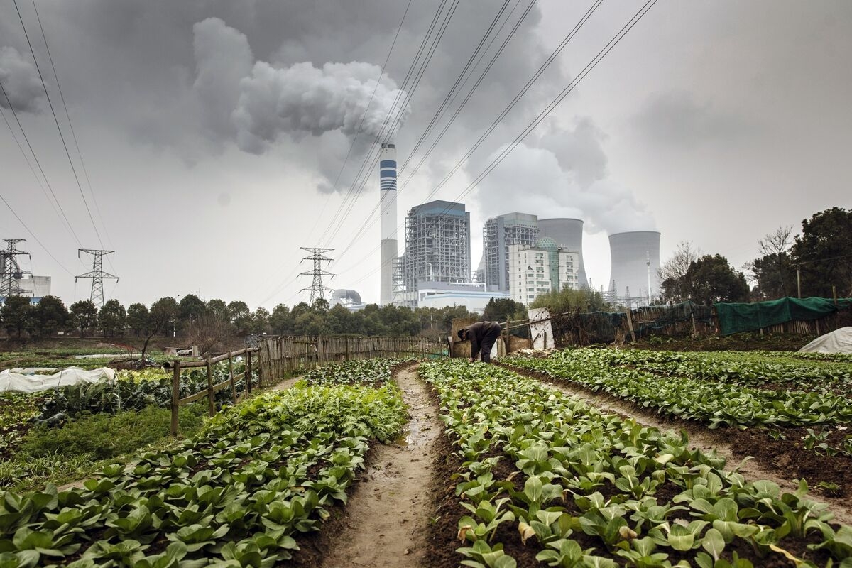 Trading of New Carbon Credits in China Prompts Wild Price Swings