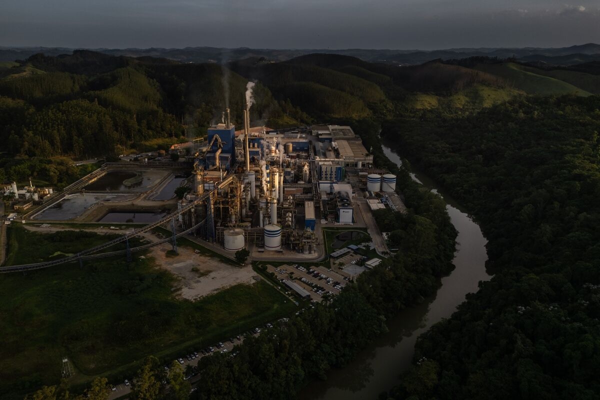An Empire Built on Paper Looks to Benefit From Trump's Trade War