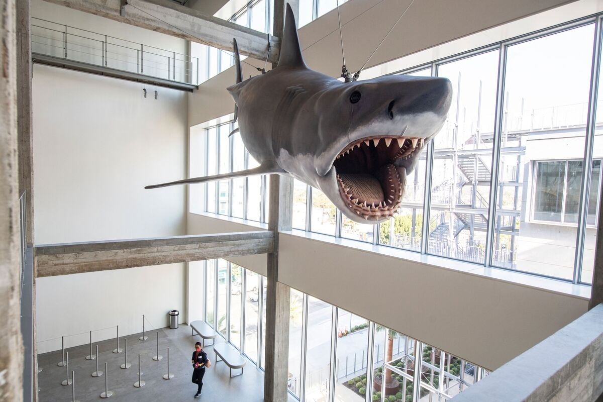 Have Middle-Aged Millennials Jumped the Shark?