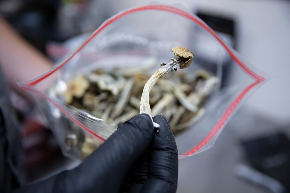 Quicker Psychedelic Drugs Offer Investors a Better Trip