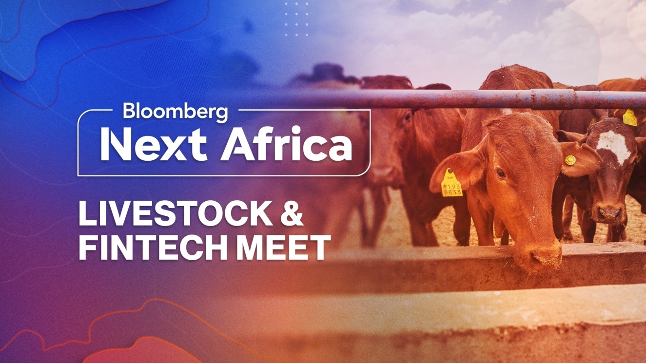 How a Real-Time Livestock Trading Platform Works