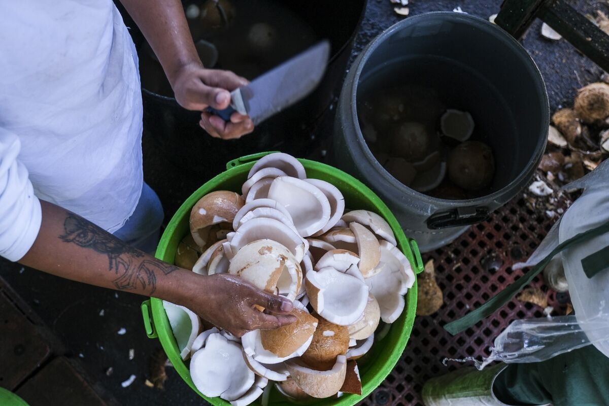 Coconuts Get Pricier as Poor Weather Drives Global Shortage