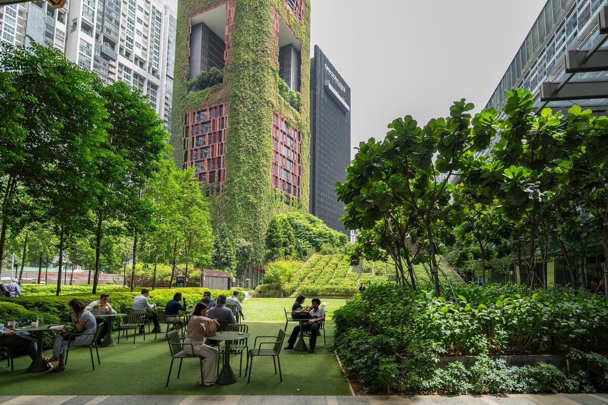 Singapore's AI Push Charts Path Toward Localized Models