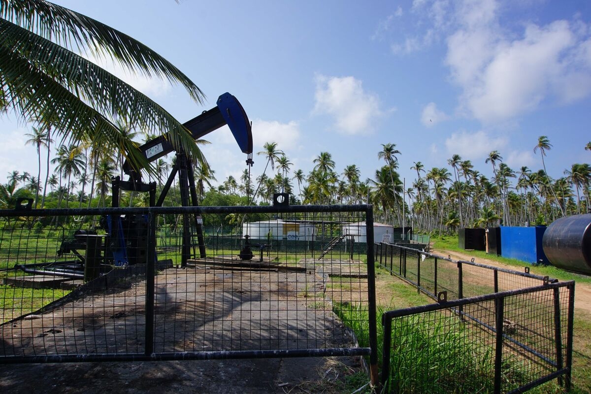 Trinidad Aims to Boost Gas Output With BP, Woodside Projects