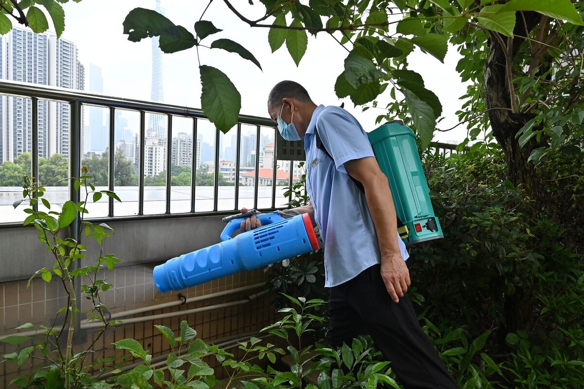 CDC Weighs Travel Notice for China as Chikungunya Cases Rise