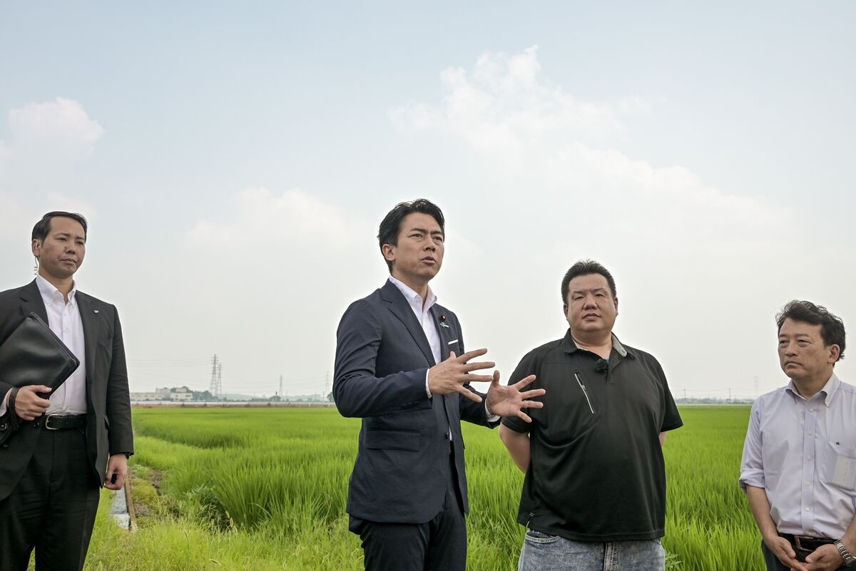 Japan's ‘Rice Minister' Is Ruling Party's Biggest Election Gamble