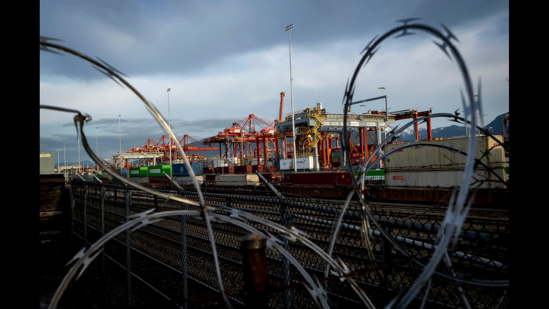 Trade War Damage to US Could be "Severe": Abby Joseph Cohen