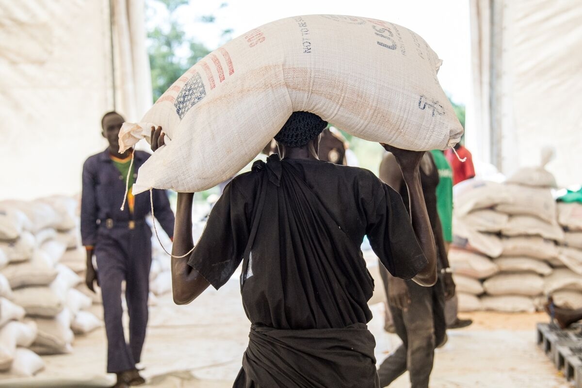 Sanctions, on Rise, Are as Deadly as Armed Conflict, Study Says