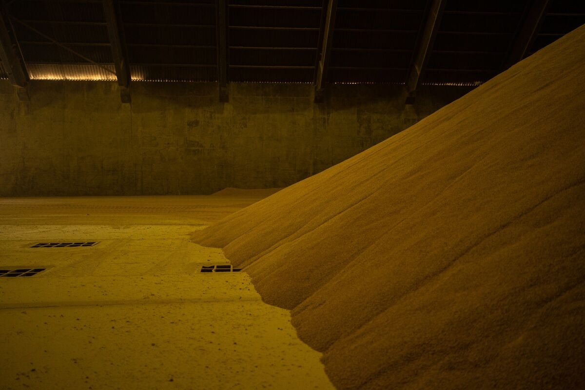 Bunge Diverts Argentina Soymeal Ship Bound for China on Quality