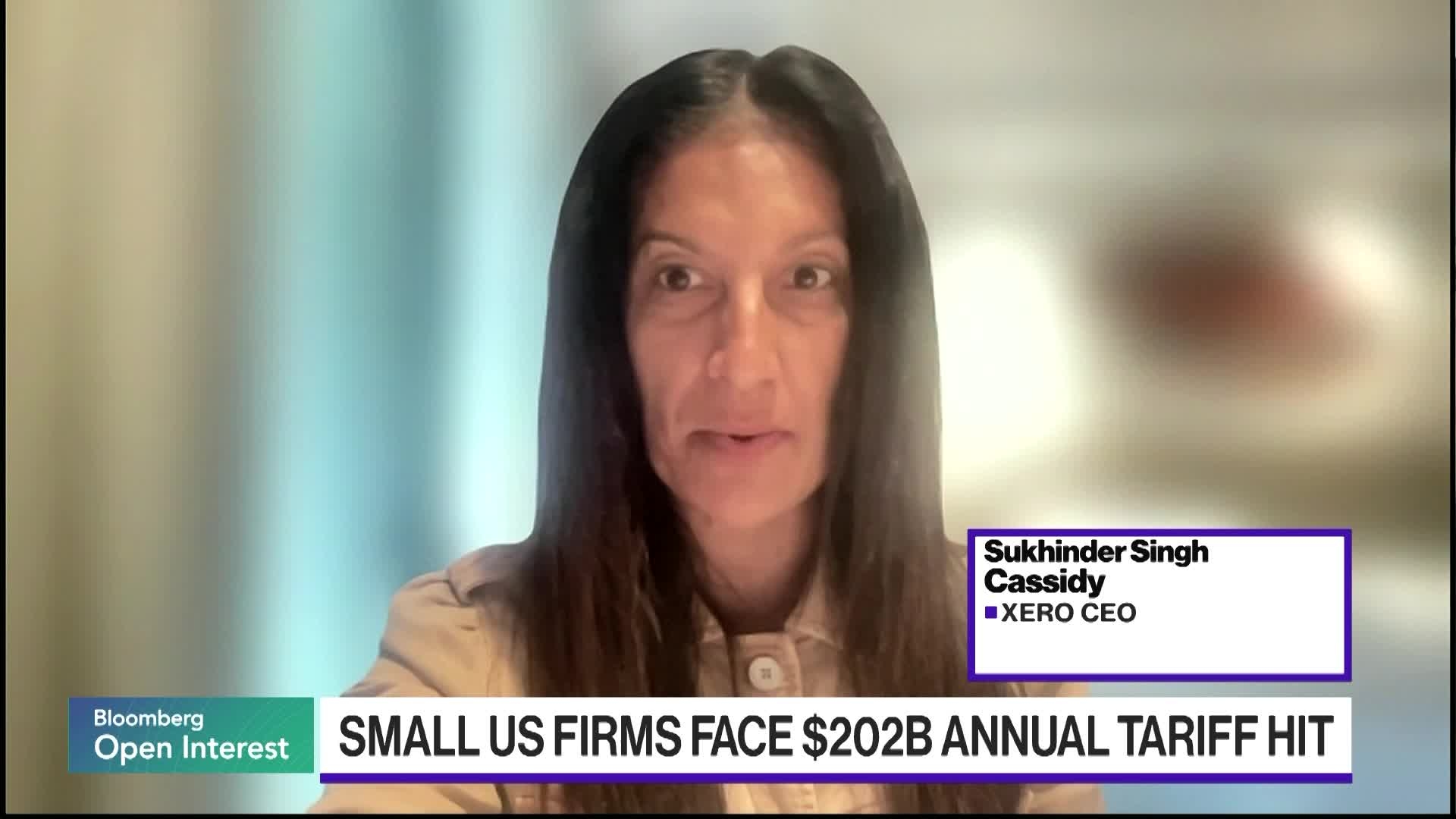 An Uncertain Environment for Small Businesses