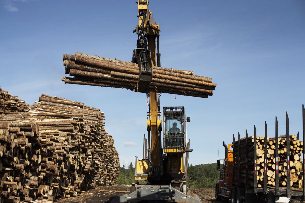 Canada Lumber Aid Inflames US Subsidy Allegations, Industry Says