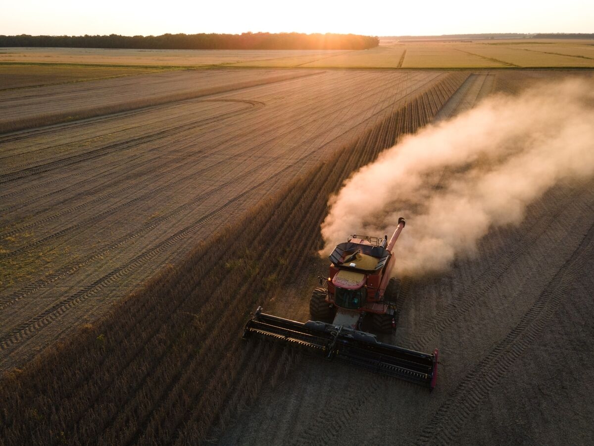 Trump Urges China to Buy More Soybeans as Truce Deadline Looms