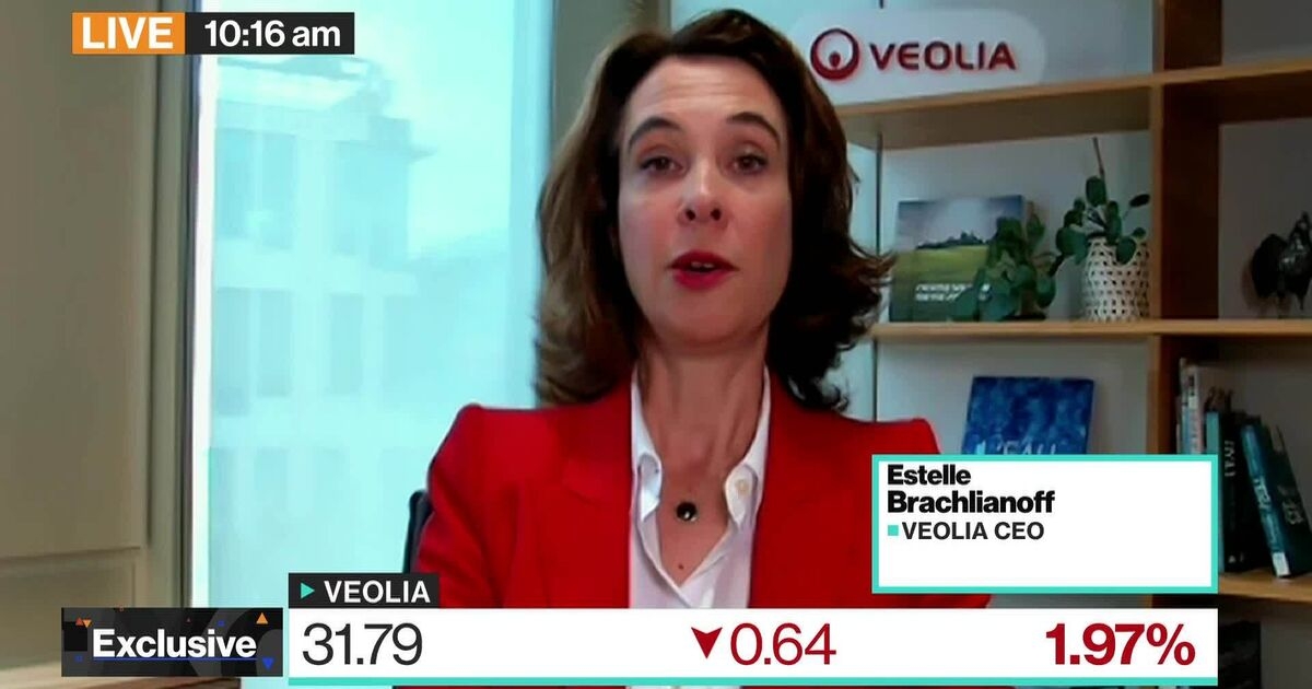 Veolia to Buy Rest of Water Tech Unit in $1.75 Billion Deal