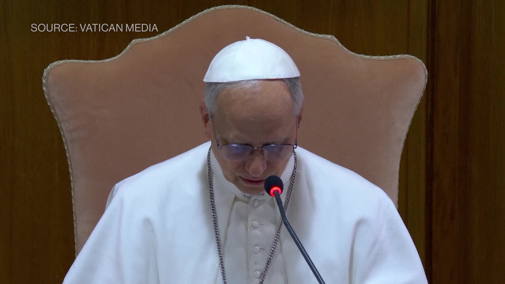 Pope Leo Speaks at First Vatican Audience to Cardinals