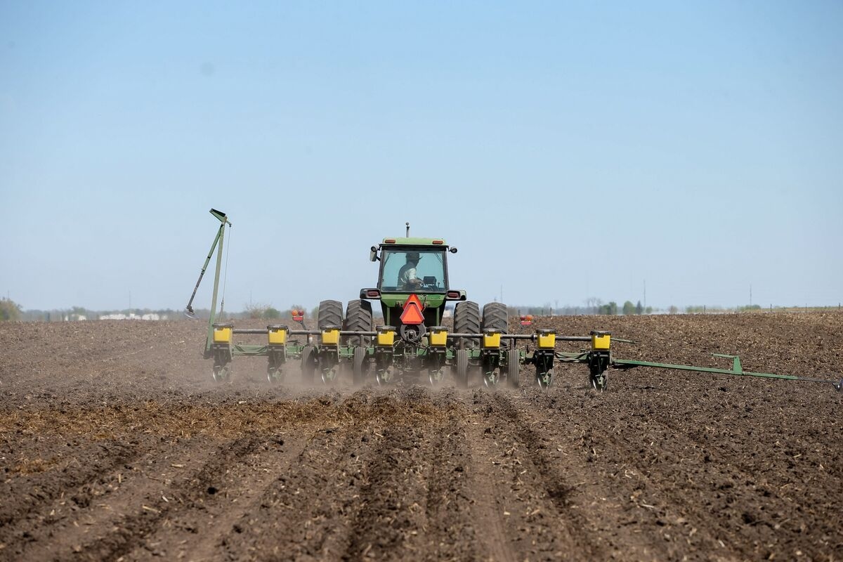 Soybean Farmers Warn Trump of ‘Financial Precipice' Over Tariffs