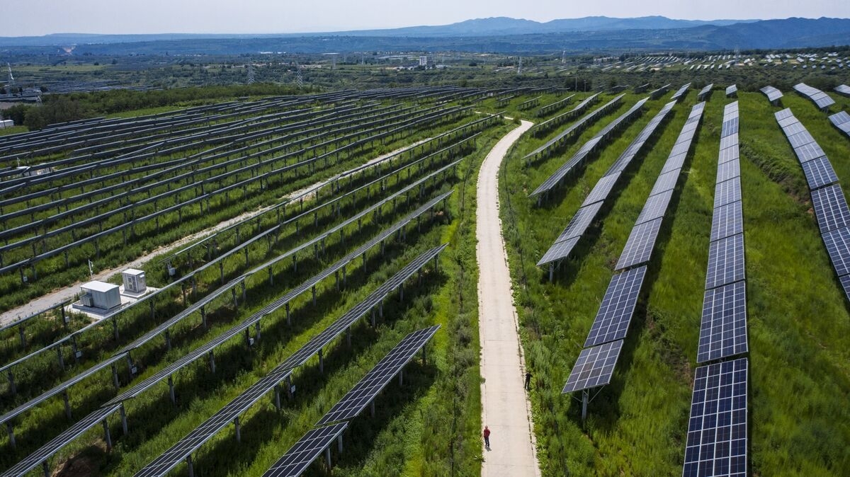 China's Longi Shuffles Leadership as Solar Losses Deepen
