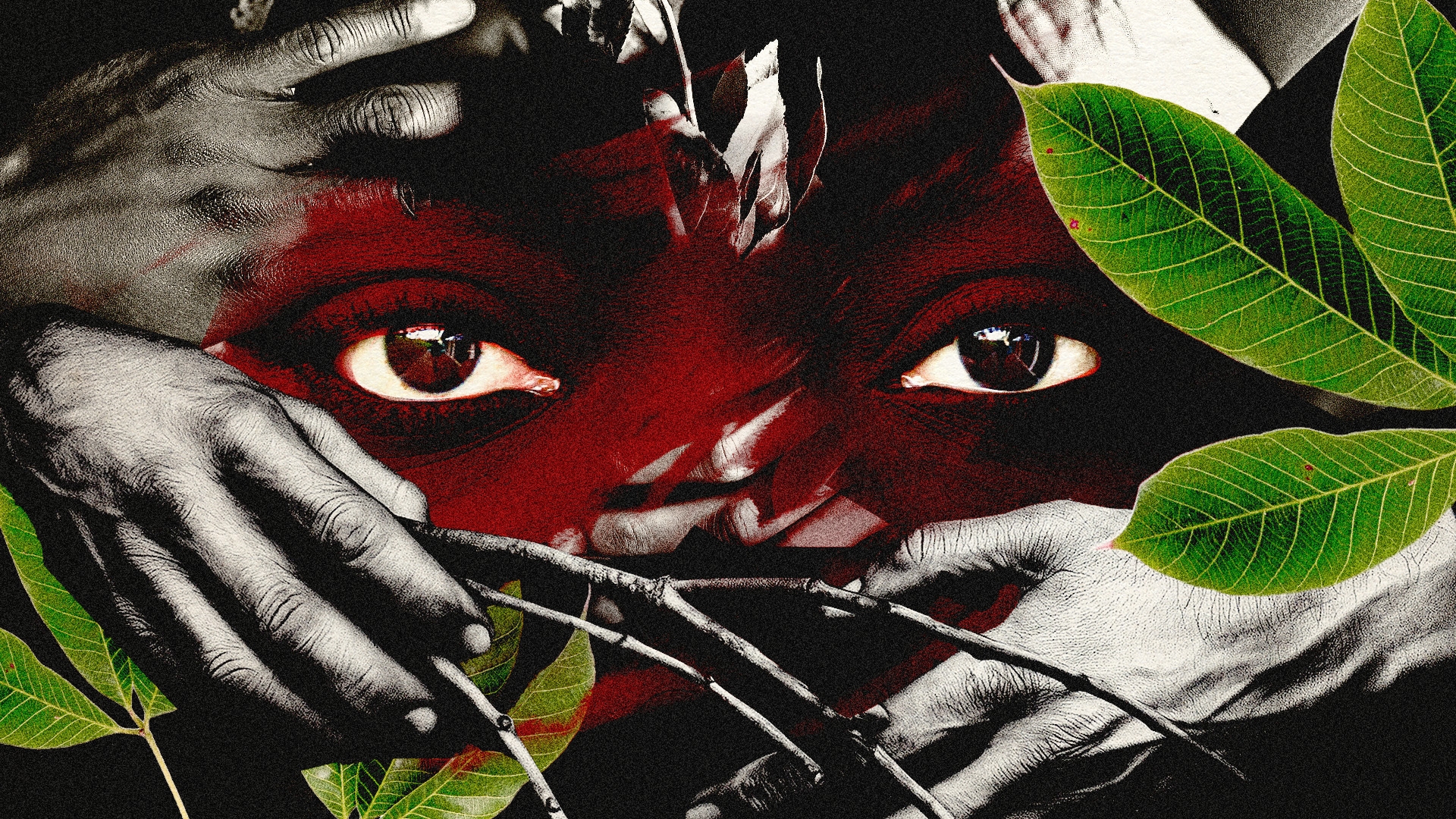Sex-for-Work Claims in West Africa's Rubber Industry