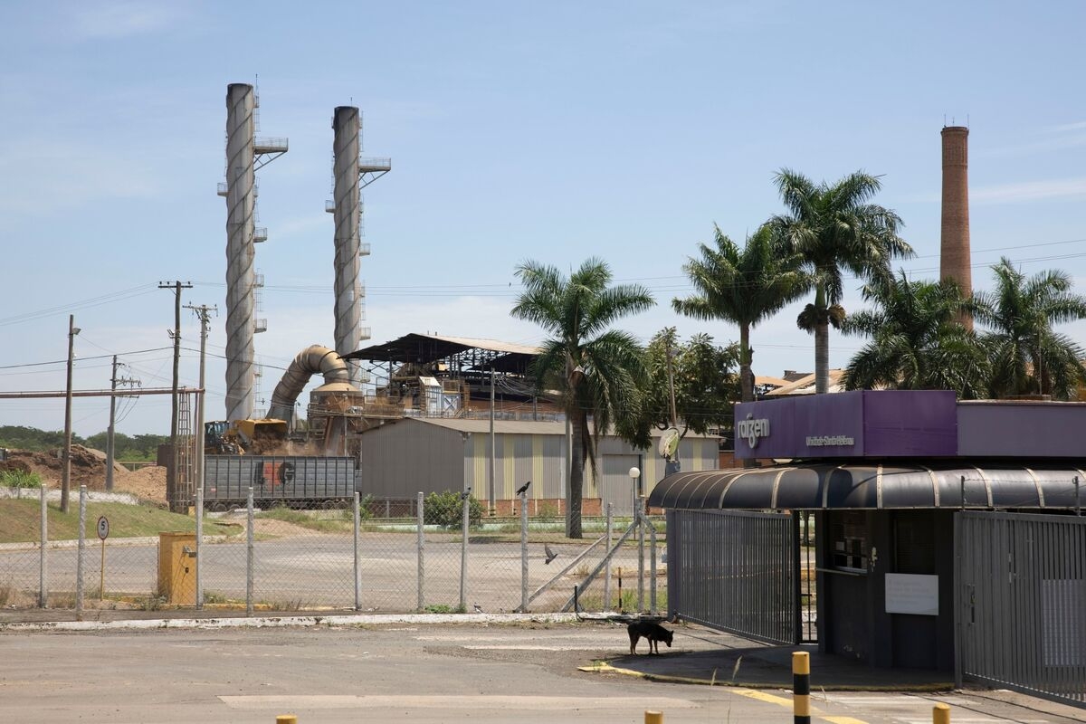 Brazilian Ethanol Producer Raizen Agrees to Sell Sugar Plant in Debt-Slashing Push