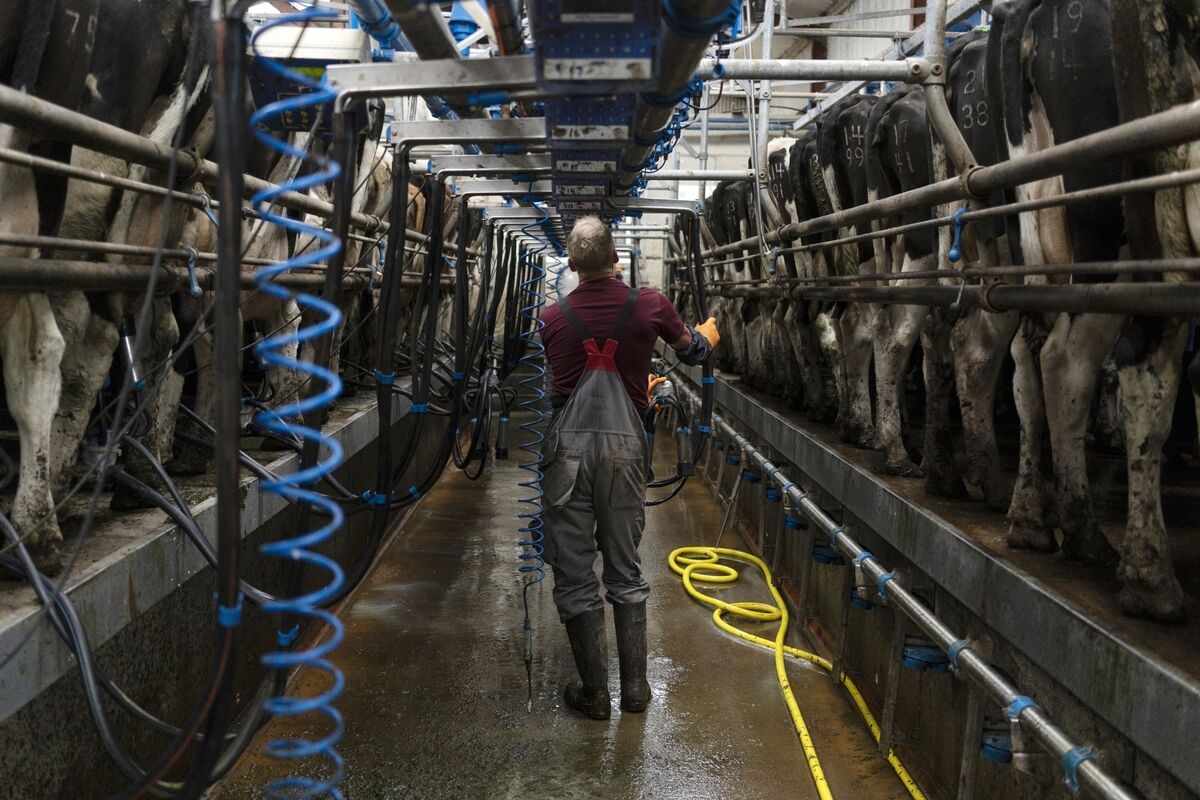PE Firms Said to Study DSM-Firmenich's €3 Billion Unit