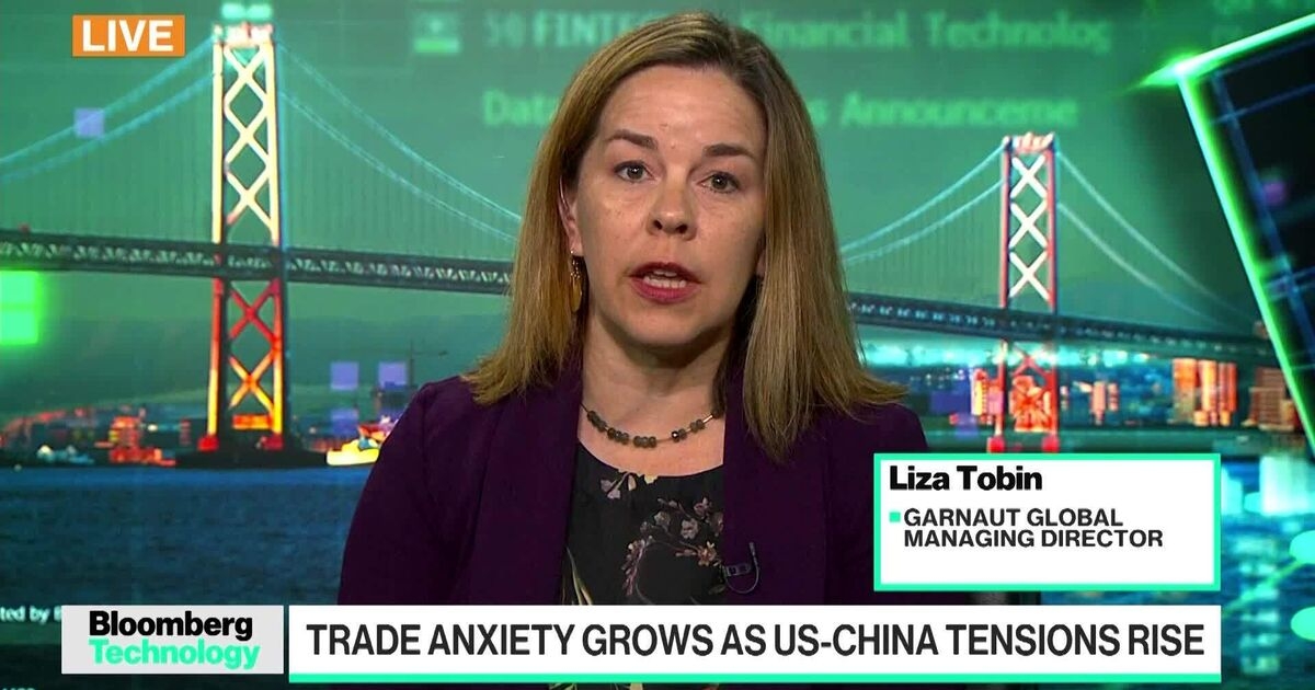 ‘Glass Is Broken' on Rare Earth Trade: Garnault's Tobin