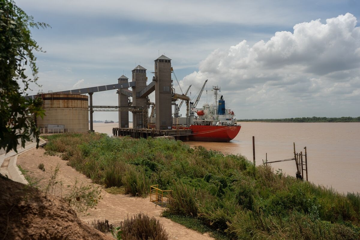 China Is Said Seeking Argentina Crops as It Skirts US Tariffs