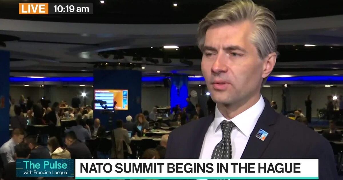 Lithuania Foreign Minister: NATO Must "Speed up" Defense Spend