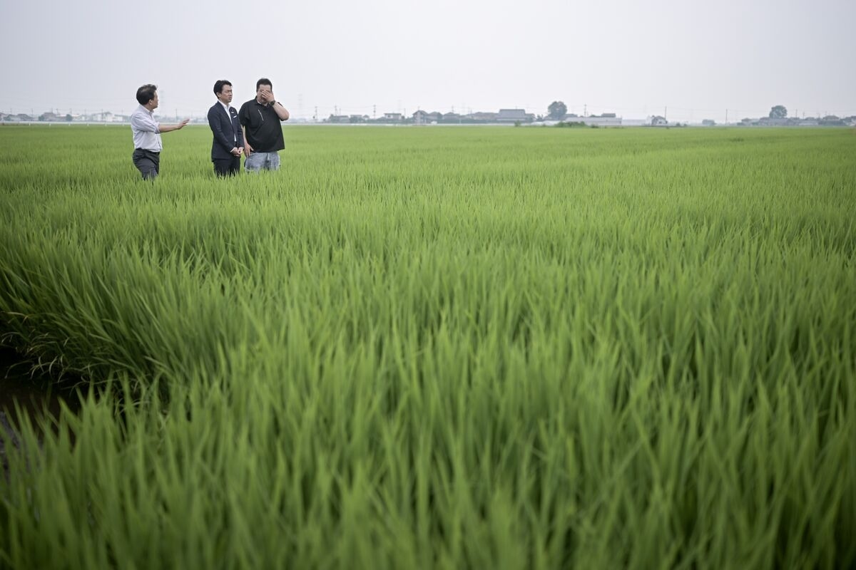 Food Is Once Again a Hot Election Issue as Japan Goes to Polls