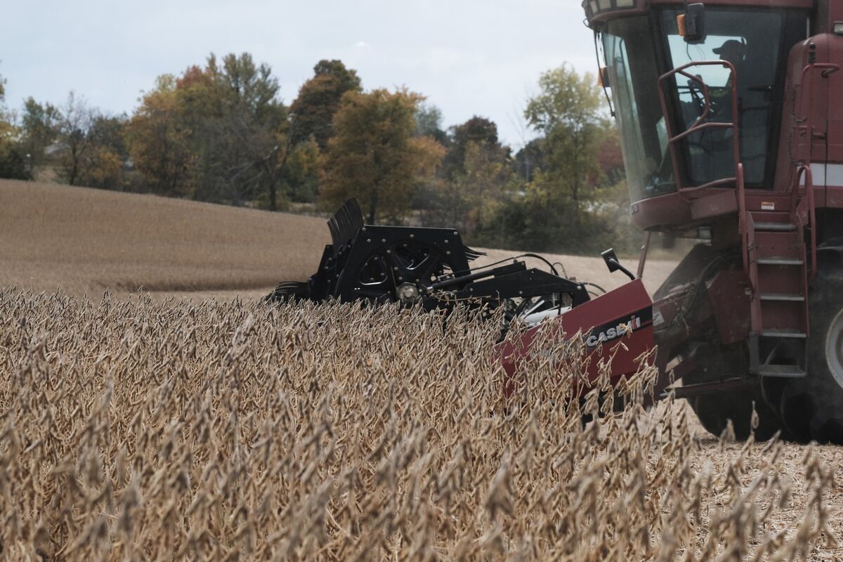 Farmers Press Trump for Biofuels Boost to Counter Tariff Losses