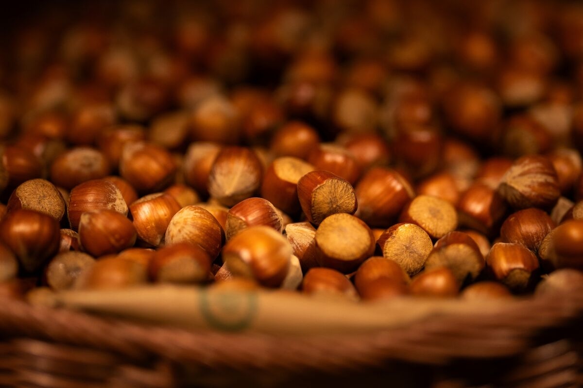 The Investors Who Think Hazelnuts Will Be the Next Pistachios