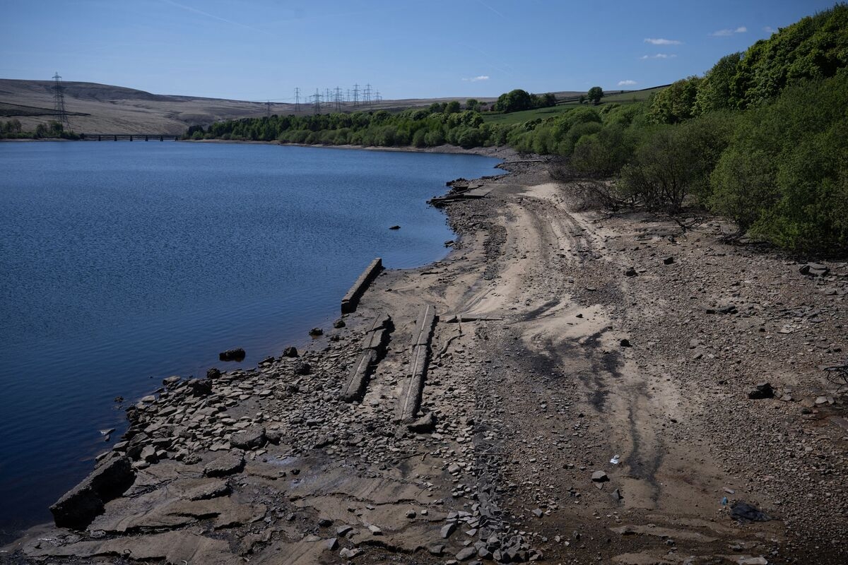 UK Water Supply Dwindles as Spring's Record Dryness Lingers