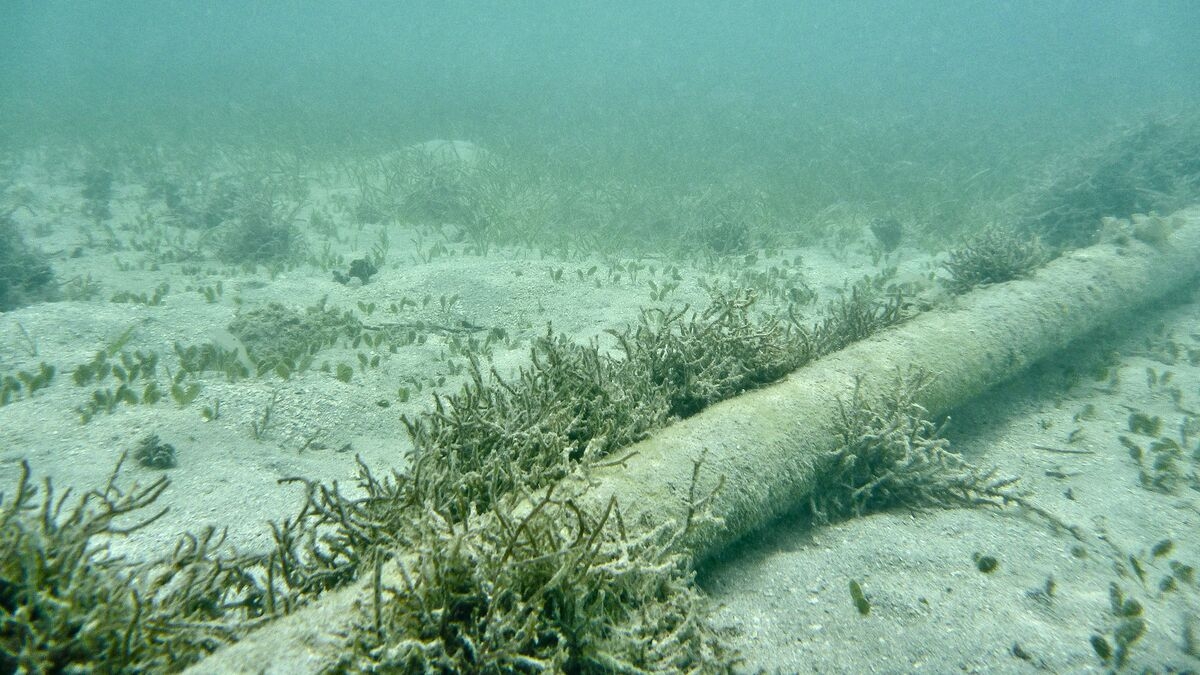 Southeast Asia Joins Europe's Calls to Defend Subsea Cables