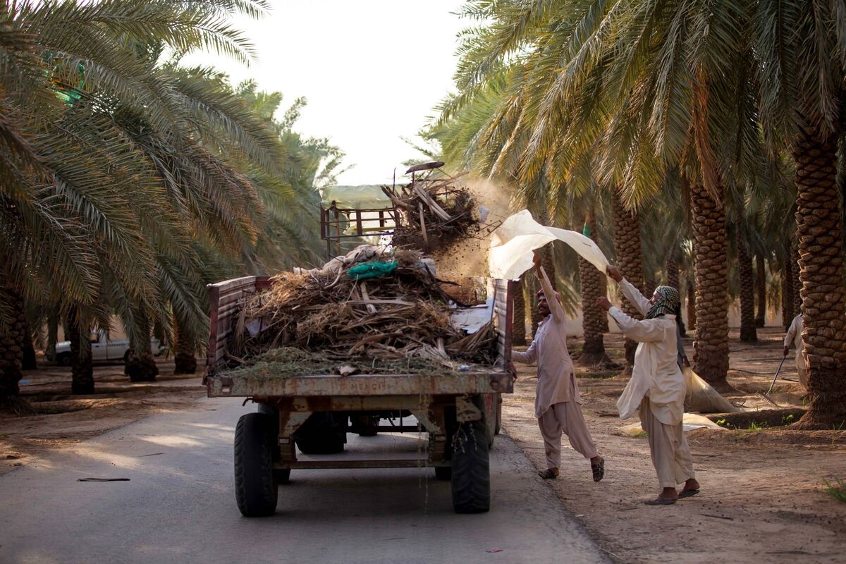 Olam Group Confirms Sale of Agri Business Stake to Saudi Fund