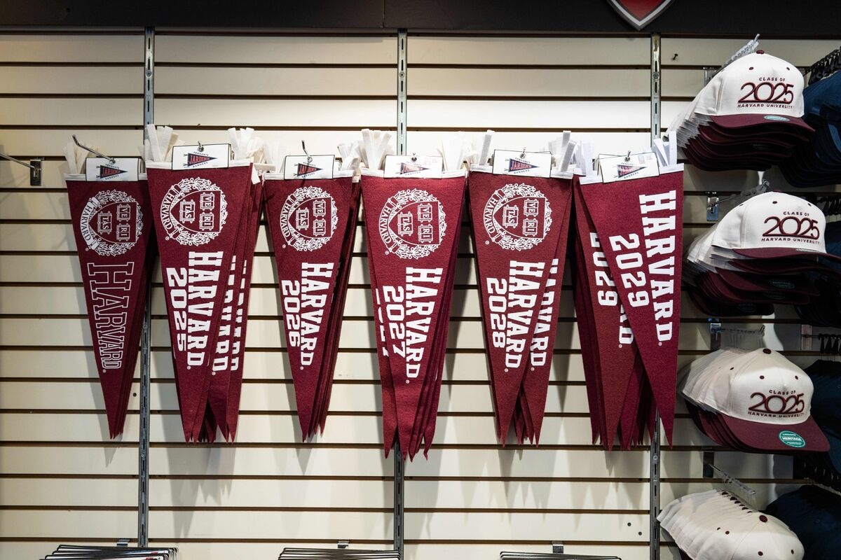 Harvard Hits Back at Education Secretary McMahon, Denying Political Bias