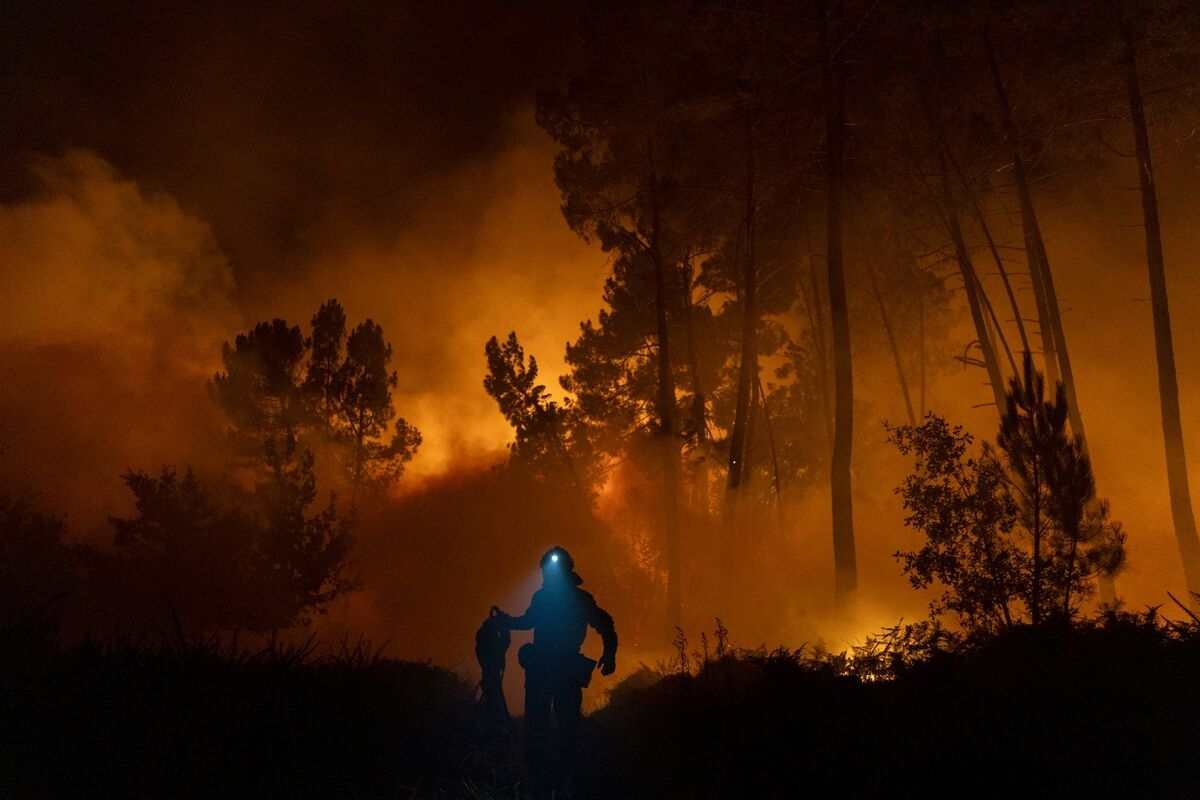 Europe's Wildfires Have Burned the Most Land in Nearly 20 Years