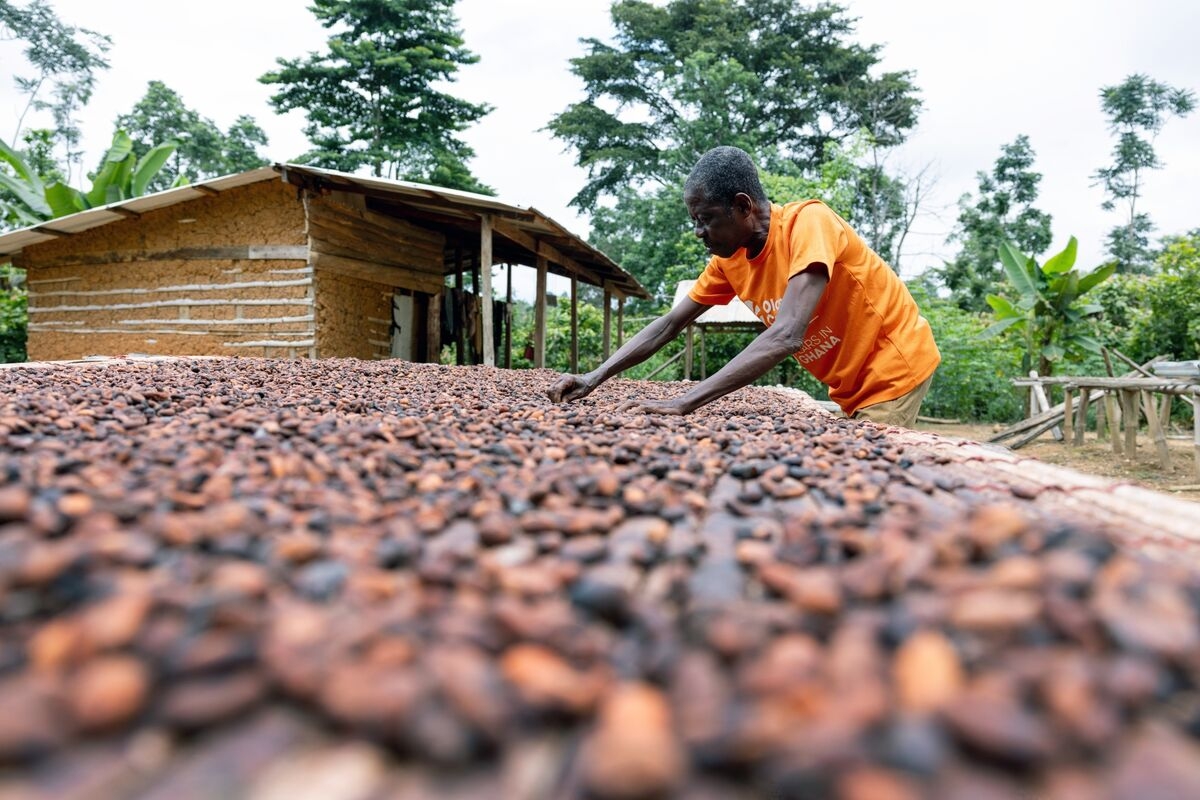 Ghana's Economy Grows 5.3% as Slump in Cocoa, Gold Sectors End