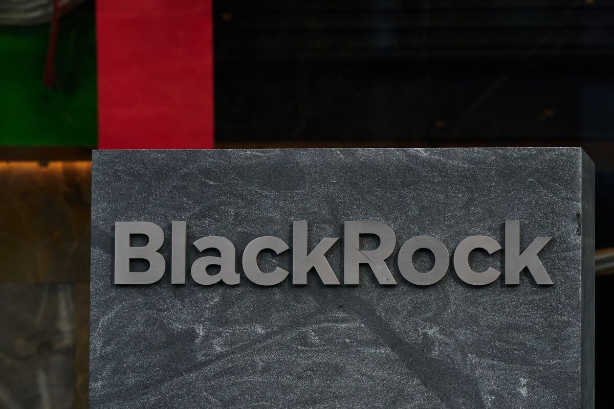 BlackRock Says Super-Rich Want Private Credit as PE Returns Lag