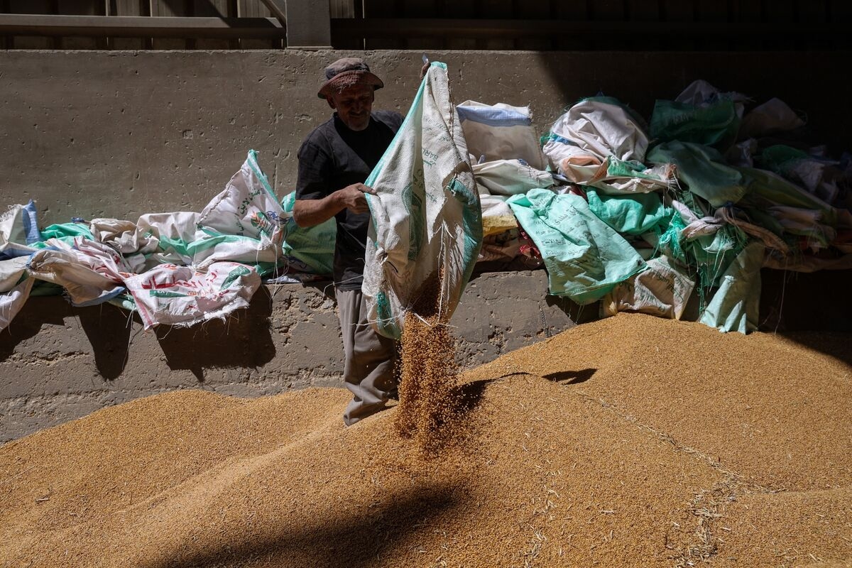 Wheat Snaps Two-Day Drop With Demand and Russian Supply in Focus