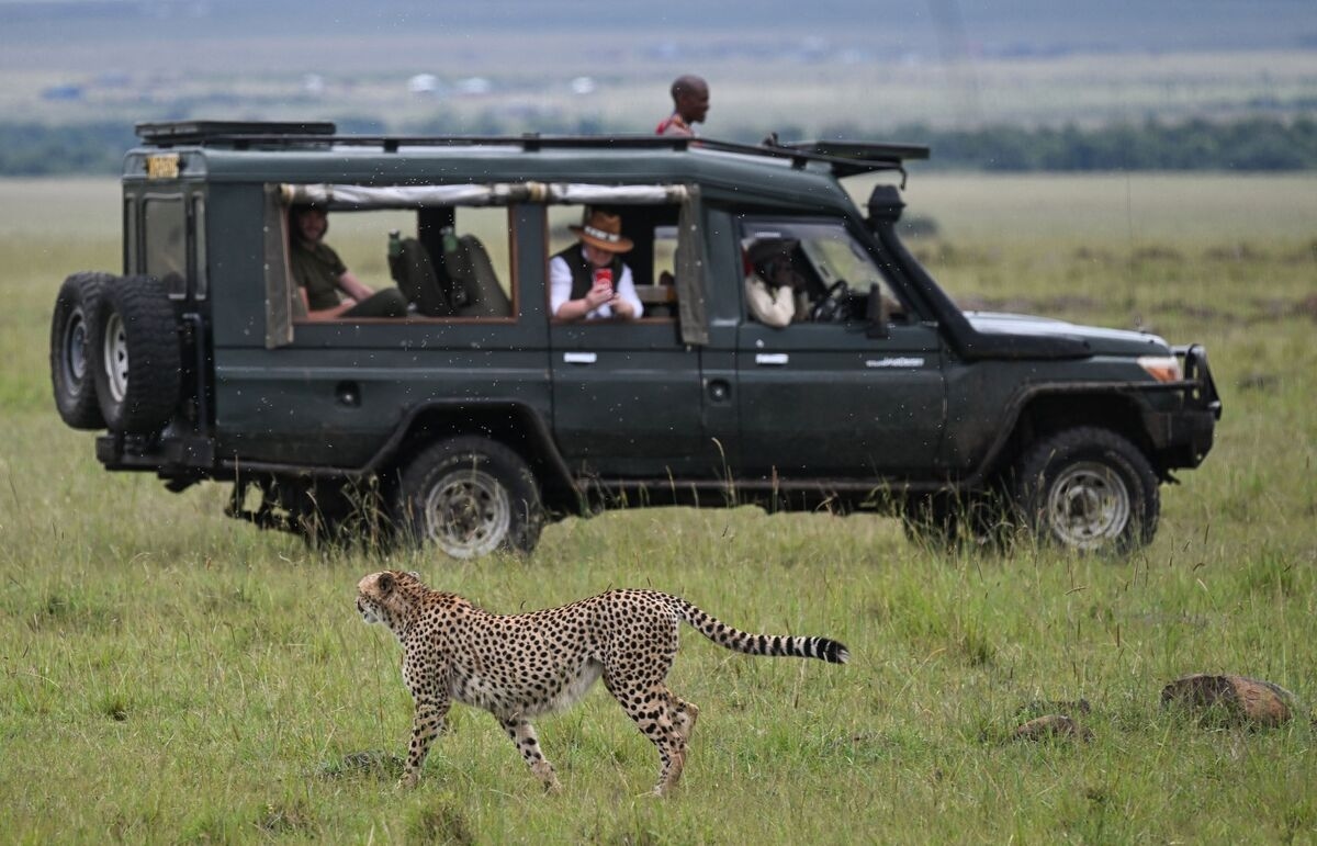 Kenya's Economic Growth Shifts Lower as Tourism Sector Suffers