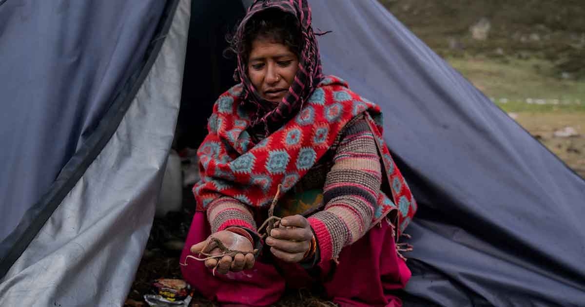 Businessweek The Sex Mushroom Hunters of Nepal